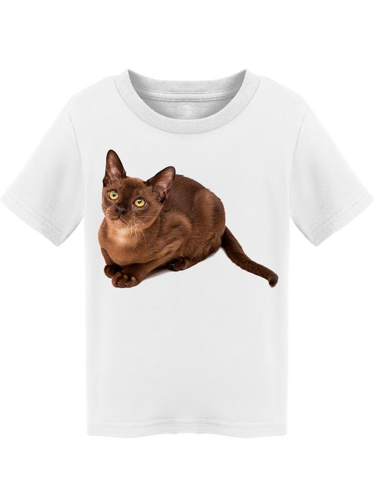 Burmese Cat, Tender Look Tee Toddler's -Image by Shutterstock