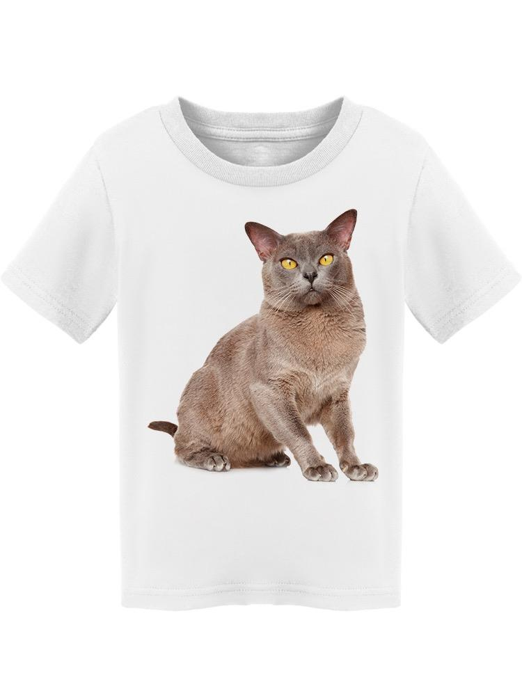 Burmese Cat, Sitted And Posing Tee Toddler's -Image by Shutterstock