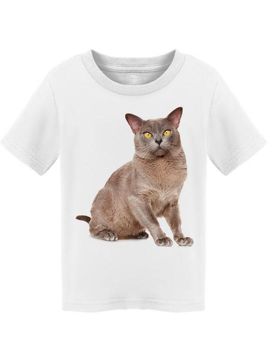 Burmese Cat, Sitted And Posing Tee Toddler's -Image by Shutterstock