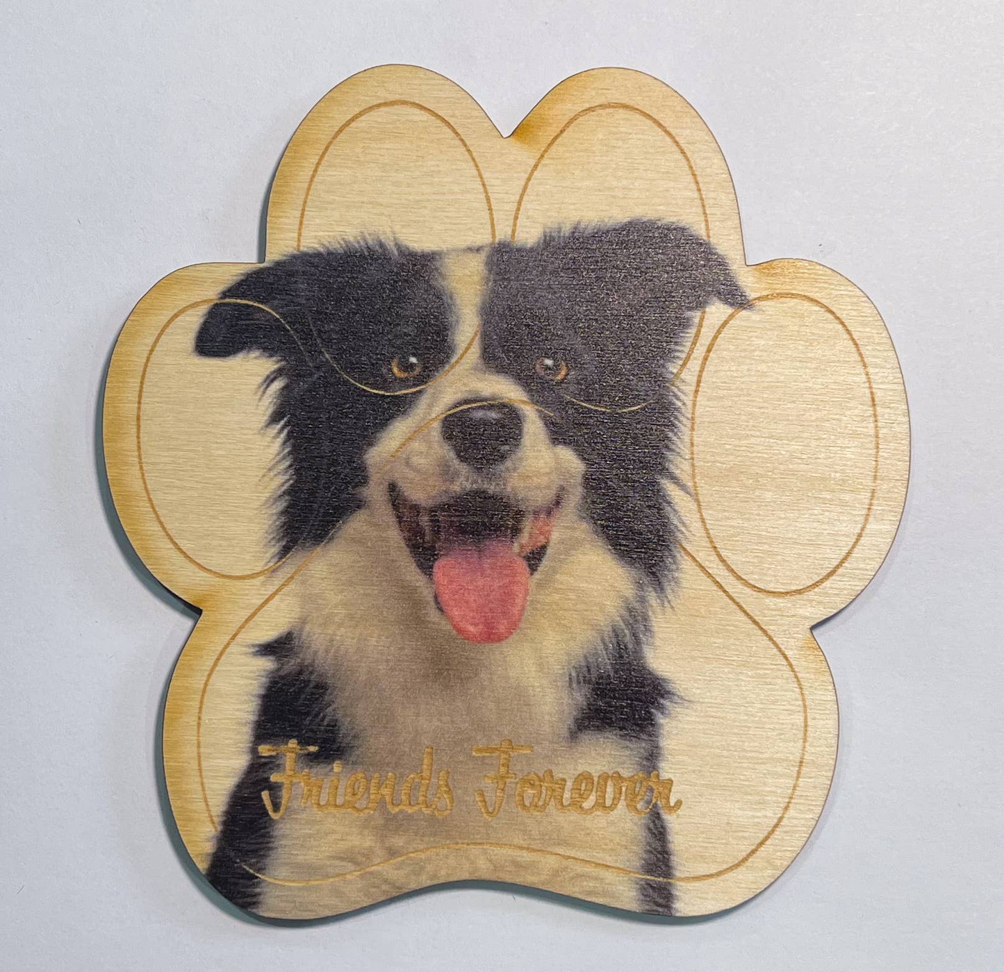 Border Collie Magnet