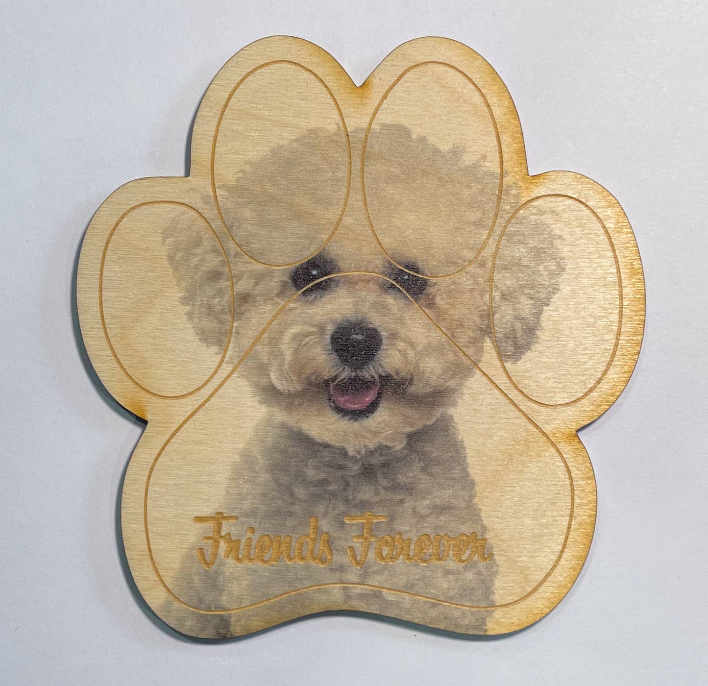 Bichon Frise Magnet