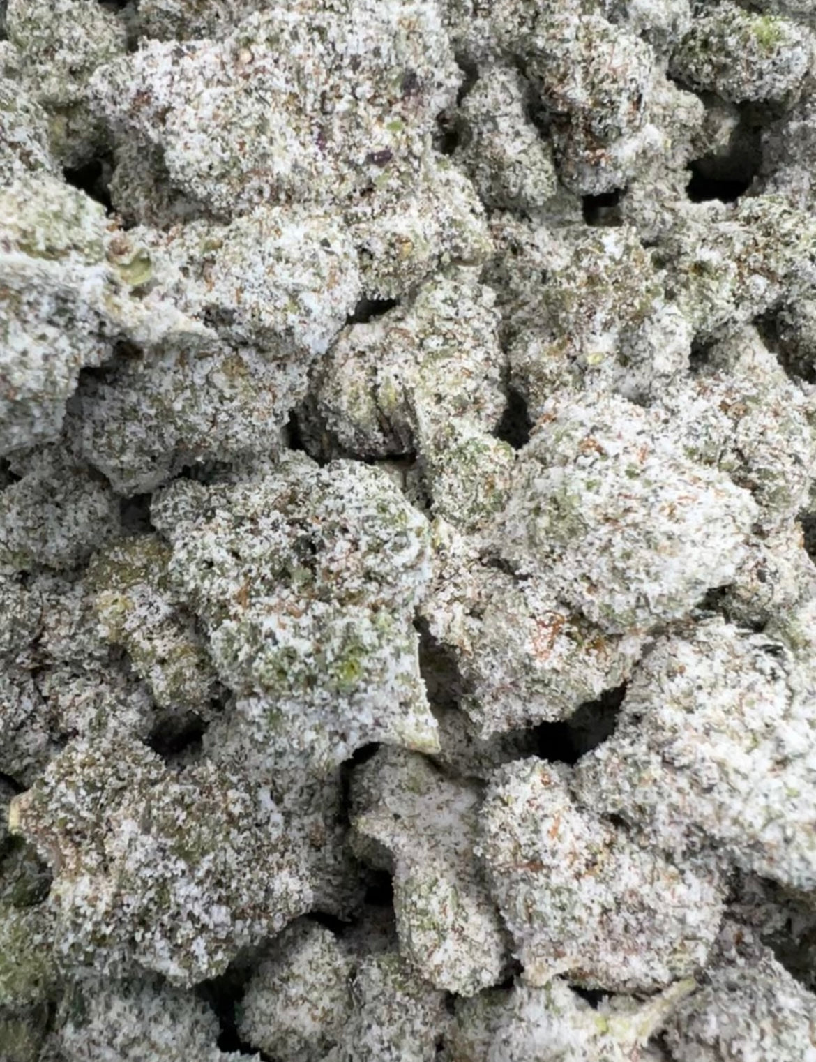 XHALE Snow Caps Premium THCA Flower Infusion 3.5g Pack