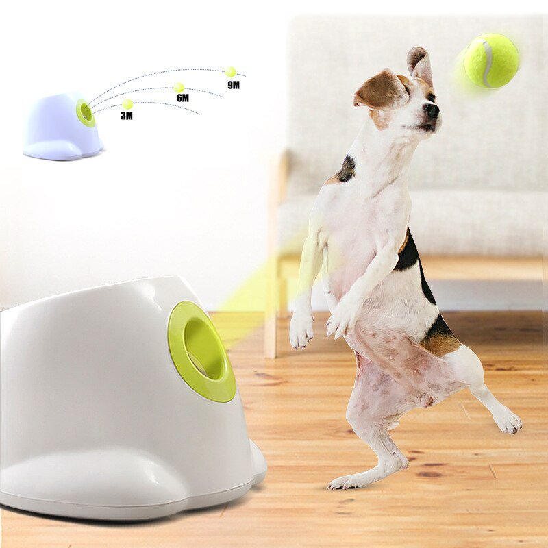 Dog pet Tennis Launcher - fashion finesse accessories